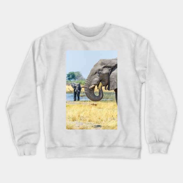 African bush elephant eating Crewneck Sweatshirt by GrahamPrentice